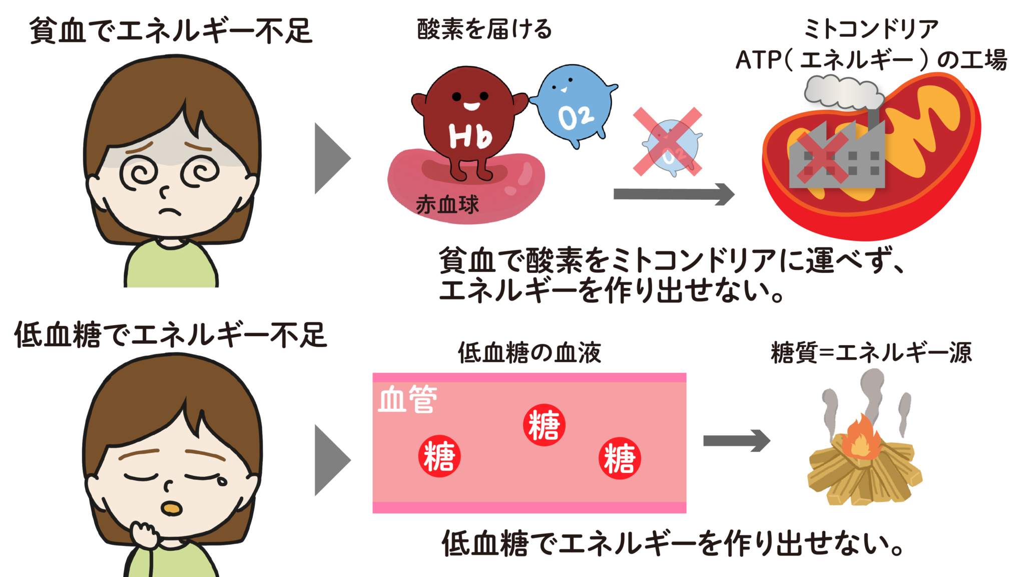 ダイエット中、もう我慢しなくてもいいんです！甘いものが食べたくなる本当の理由とは！？ ボディメーカー